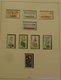 Delcampe - Lot With German Stamps In Albums FREE SCHIPPING IN THE EUROPEAN UNION - Vrac (min 1000 Timbres)