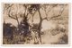 1926 KINGDOM OF SHS, CROATIA, SREBRENO, OLIVE, BEACH,KUPARI,DUBROVNIK, ILLUSTRATED POSTCARD, MINT - Croatie