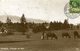 Montana Paysage Au Golf 2 Scans - Andere & Zonder Classificatie