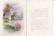 Delcampe - Lot 10 Images Diverses- Chocolaterie D'Aiguebelle - Dessin, Paysages, Oiseaux Voir Scans - Other & Unclassified