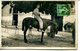 C.P.A.MILITARIA.CARTE PHOTO.MILITAIRE A CHEVAL. - Photos