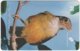 BRASIL J-506 Magnetic Teleceara - Animal, Bird - Used - Brazil