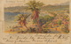 Litho Color St. Kingstown , St Vincent Hamburg Amerika Linie 1903 . P. Used Stamped - Saint-Vincent-et-les Grenadines