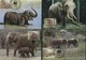WWF Kapitel, Chapter  SRI LANKA, Elephant  1986  /  WWF Capitulaire SRI LANKA , Elephant - Sonstige & Ohne Zuordnung