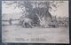 Congo Belge Elephants Trainant Chariot   Cpa Entier Postal - Congo Belge