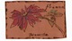 FRESNO, California, USA, POINSETTIA, Old LEATHER Postcard - Fresno