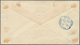 China - Shanghai: 1893, Bisect ½ C. On 5 Ct. Rose (2) Tied Blue Bilingual "LOCAL POST * SHANGHAI" W. - Sonstige & Ohne Zuordnung