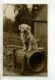 CHIENS 441 " Home Sweet Home" Chien  Sur Sa Niche Tonneau Tirage Carte Photo 1920 - Dogs