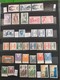 Delcampe - LOT N° E 08  COLONIES FRANCAISE  Un Lot De 2 Class. Neufs Ou Obl - Collections (en Albums)