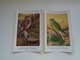 Beau Lot De 10 Cartes Postales Oiseaux  Oiseau  Illustrateur H.Dupond     Mooi Lot Van 10 Postkaarten Van Vogels  Vogel - 5 - 99 Postkaarten