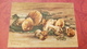 Yakovlev "Mushrooms" - OLD PC 1956  - Mushroom - Champignon - Paddestoelen