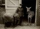 LONDON BABY JUMBO AT THE ZOO BABY ELEPHANT WITH ZEBRA 21 *16CM Fonds Victor FORBIN 1864-1947 - Sin Clasificación