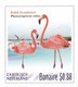 Postcard Dutch Caribic With Birds, Flamingos, Unused - Oiseaux