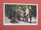 Feeding A Bear  Yellowstone National Park  Ref 3840 - Bears