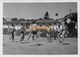 GRANDE PHOTO : BEACH VOLLEY BALL - SUR UNE PLAGE A PARIS EN 1942 PENDANT LA CANICULE - HOMMES TORSE NU VOLLEYBALL - Sports