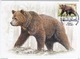 Belarus 2017 Maximum Card, Fauna Brown Bear - Bielorrusia