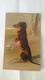 CPA Postcard   TECKEL ..chien .. Annimal .. Carte  Gauffrée - Hunde