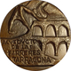 ESPAÑA. MEDALLA F.N.M.T. ACUEDUCTO FARRERES. TARRAGONA. BRONCE. SPAIN MEDAL - Professionals/Firms