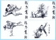 8 Different Judo Postcards Different Handles Very Nice ! - Arti Marziali