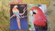 5 Items Lot - Ara, Macaw Parrot - 4 Calendars And Postcard Nikolaev ZOO - Oiseaux