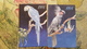 5 Items Lot - Ara, Macaw Parrot - 4 Calendars And Postcard Nikolaev ZOO - Oiseaux