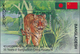 Bangladesch: 2010, 35 Years Of Bangladesh-China Relations, Year Of The Tiger, Mint Never Hinged Souv - Bangladesch