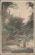 Japan: 1907, Unfranked Ppc (Nikko) Marked "15 CTMS" In Violet From "YOKOHAMA 15.1.07" Via "HONOLULU - Other & Unclassified