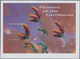 Thematik: Flora, Botanik / Flora, Botany, Bloom: 2003, GRENADA: Flowers Of The Caribbean Complete IM - Sonstige & Ohne Zuordnung