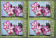 Thematik: Flora, Botanik / Flora, Botany, Bloom: 2006, Bahamas. Imperforate Block Of 4 For The 25c V - Other & Unclassified