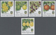Thematik: Flora-Obst + Früchte / Flora-fruits: 2004/2007, BRITISH VIRGIN ISLANDS: Definitive Issue ' - Obst & Früchte