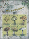 Thematik: Pilze / Mushrooms: 2009, DOMINICA: Mushrooms Complete Set Of Four In Two Vertical Gutter P - Pilze