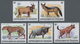 Thematik: Tiere, Fauna / Animals, Fauna: 1982, Burundi. Complete Set AFRICAN WILDLIFE (13 Values) Sh - Other & Unclassified