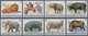 Thematik: Tiere, Fauna / Animals, Fauna: 1982, Burundi. Complete Set AFRICAN WILDLIFE (13 Values) Sh - Other & Unclassified