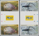 Thematik: Tiere-Fische / Animals-fishes: 2016, MAURITIUS: Freshwater Animals Complete Set Of Four (G - Fische