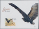 Thematik: Tiere-Greifvögel / Animals-birds Of Prey: 2003, ANGOLA: Domestic Eagles Complete Set Of Fo - Adler & Greifvögel