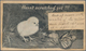 Thematik: Tiere-Hühnervögel / Animals-gallinaceus Birds: 1905 Commercially Used Picture Pasted On Po - Hühnervögel & Fasanen
