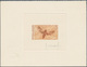 Thematik: Tiere-Schmetterlinge / Animals-butterflies: 1968, NEW CALEDONIA: Butterfly 29fr. 'Hippotio - Butterflies