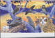 Thematik: Tiere-Vögel / Animals-birds: 2004, SOLOMON ISLANDS: BirdLife International (World Bird Fes - Sonstige & Ohne Zuordnung
