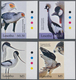 Thematik: Tiere-Vögel / Animals-birds: 2004, LESOTHO: Birds Complete IMPERFORATE Set Of Four (Secret - Other & Unclassified