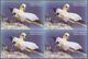 Thematik: Tiere-Vögel / Animals-birds: 2005, Dominica. Imperforate Block Of 4 For The $4 Value Of Th - Other & Unclassified