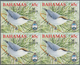 Thematik: Tiere-Vögel / Animals-birds: 2006, Bahamas. Imperforate Block Of 4 For The 65c Value Of Th - Sonstige & Ohne Zuordnung