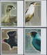 Thematik: Tiere-Vögel / Animals-birds: 2007, GRENADA-CARRIACOU: Birds IMPERFORATE Set Of Four (Pied- - Sonstige & Ohne Zuordnung