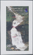 Thematik: Wasserfälle / Waterfalls: 2004, LESOTHO: International Year Of Freshwater Complete Set Of - Unclassified