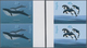 Angola: 2003, Whales Complete Set Of Two (Bryde's Whale And Heaviside Dolphin) In Vertical IMPERFORA - Angola