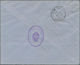 Argentinien: 1913 Commercially Local Used Postal Form Envelope With Black Postage Paid To The Intern - Sonstige & Ohne Zuordnung