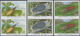 Belize: 1996, Definitives 'Insects' (beetles, Butterfly, Wasp And Others) Complete Set Of Twelve In - Belize (1973-...)