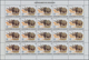Delcampe - Burundi: 1982. AFRICAN WILDLIFE. Complete Set Of 13 From 2fr. To 85fr. In Complete Sheets Of 20 Stam - Gebraucht