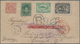 Neufundland: 1888, ½c. Rose-red, 1c. Blue-green, 2c. Yellow-green (slight Toning Spot) And 10c. Blac - 1857-1861