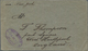 Curacao: 1894, Commercial Letter With Unusual Franking Of 11x1 Cent Grey And 7x2 Cent Violet Sent To - Niederländische Antillen, Curaçao, Aruba