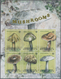 Dominica: 2009, Mushrooms Complete Set Of Four And The Sheetlet With Further Six Stamps All IMPERFOR - Dominica (1978-...)